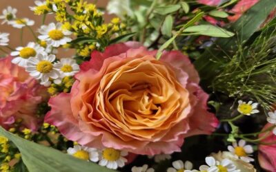 Augustrueckblick 2025